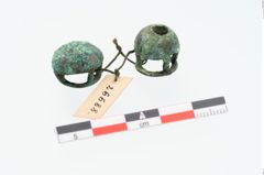 Foto von Bronzeringfußknopf (NHMW-PRAE-026688)